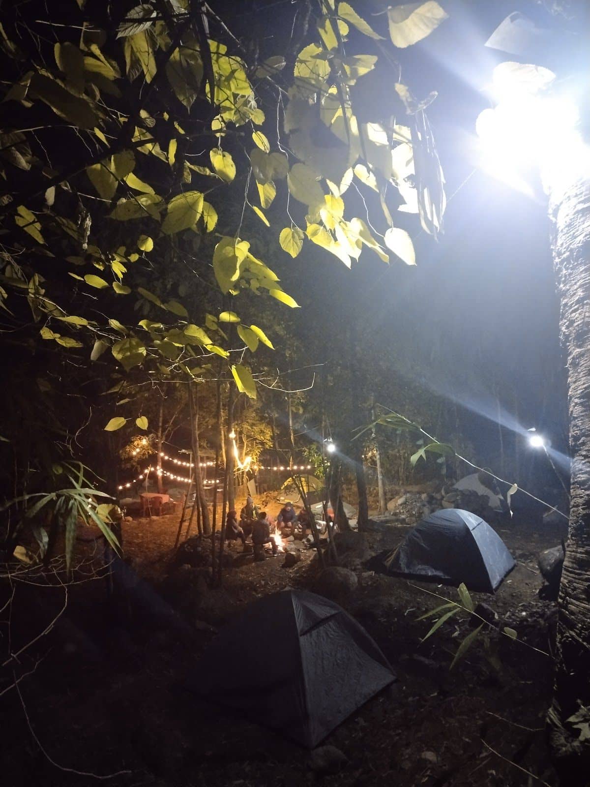 Serene Camping Retreat with Stunning Views - Mirik