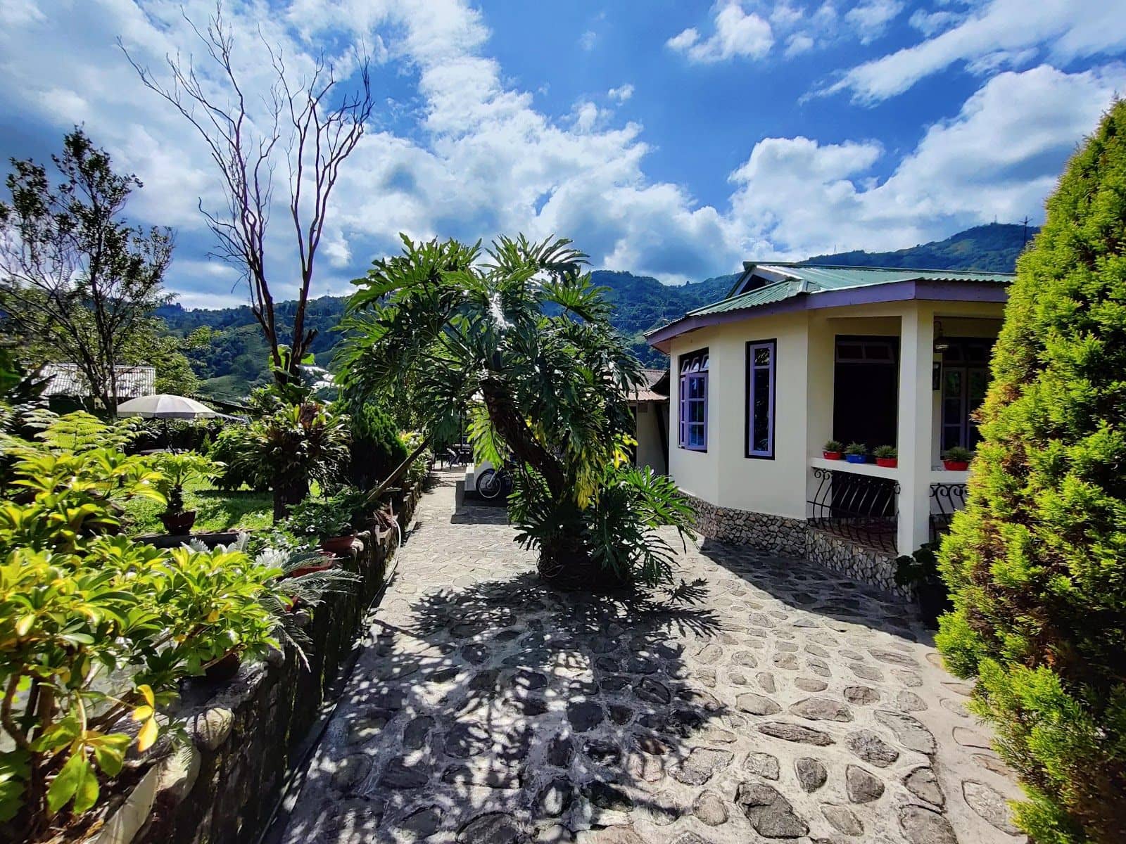 Warm 3BR Natural Home by the river - Mirik photo 5