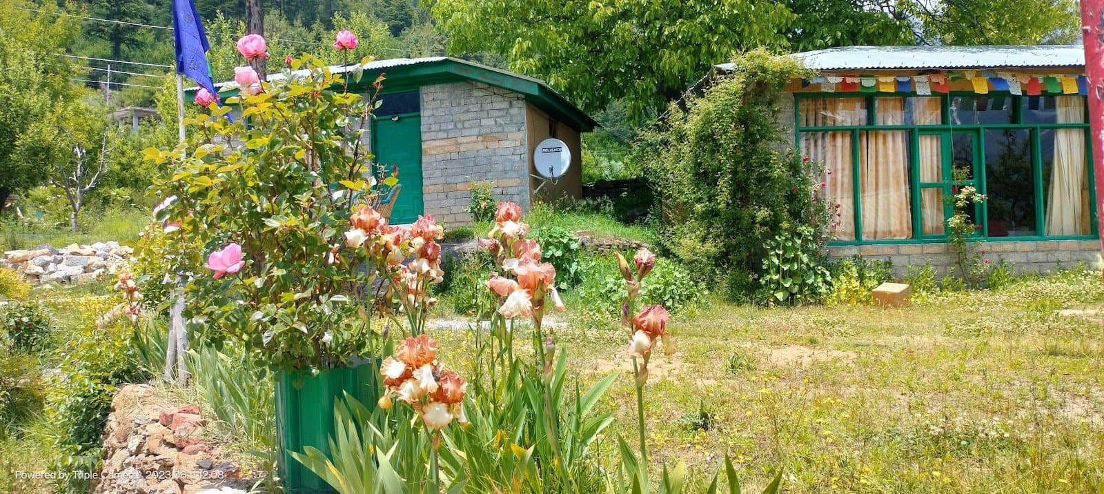 Cottage w/ Apple Garden & Bonfire, HP - Himachal Pradesh photo 4