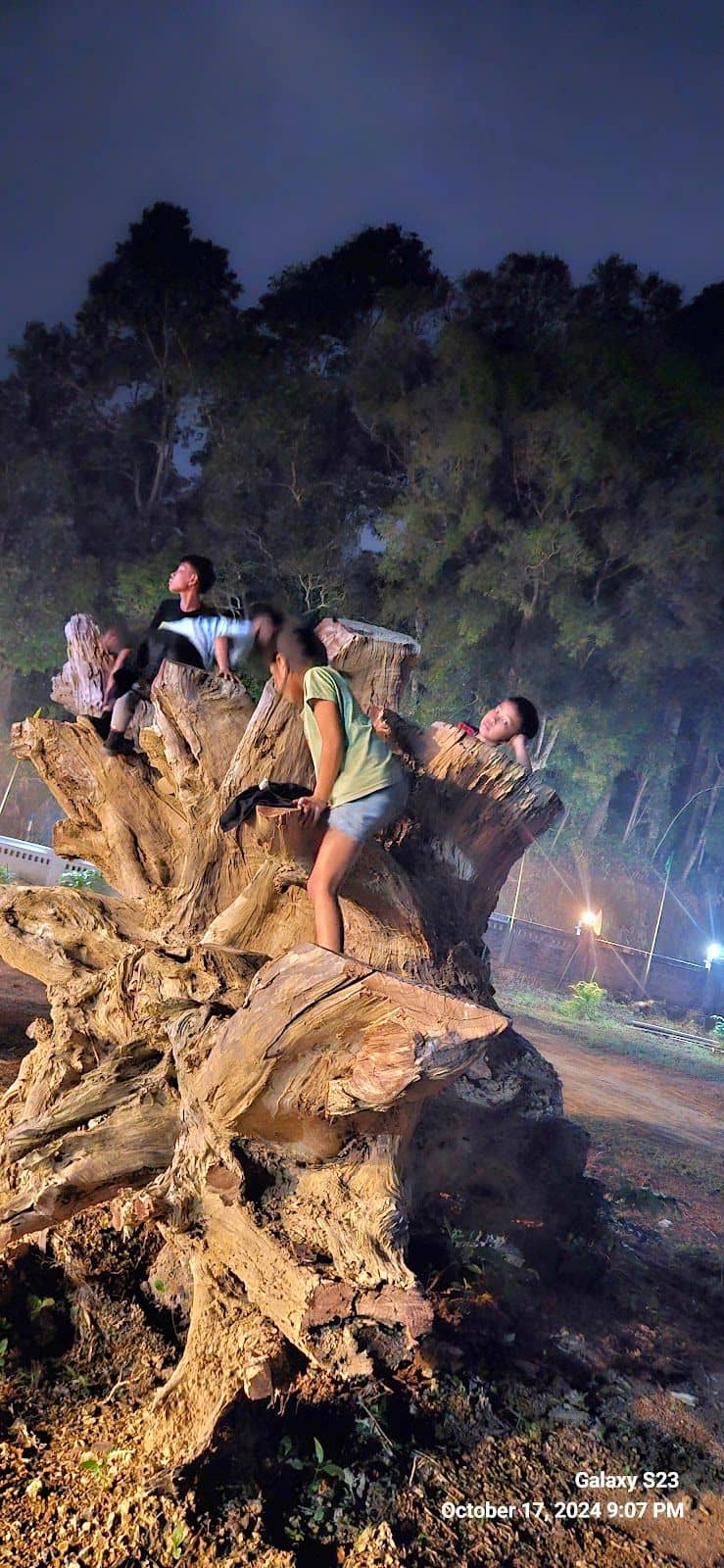 Homely Hill View Stay: Unbelievable Views - Unakoti photo 4