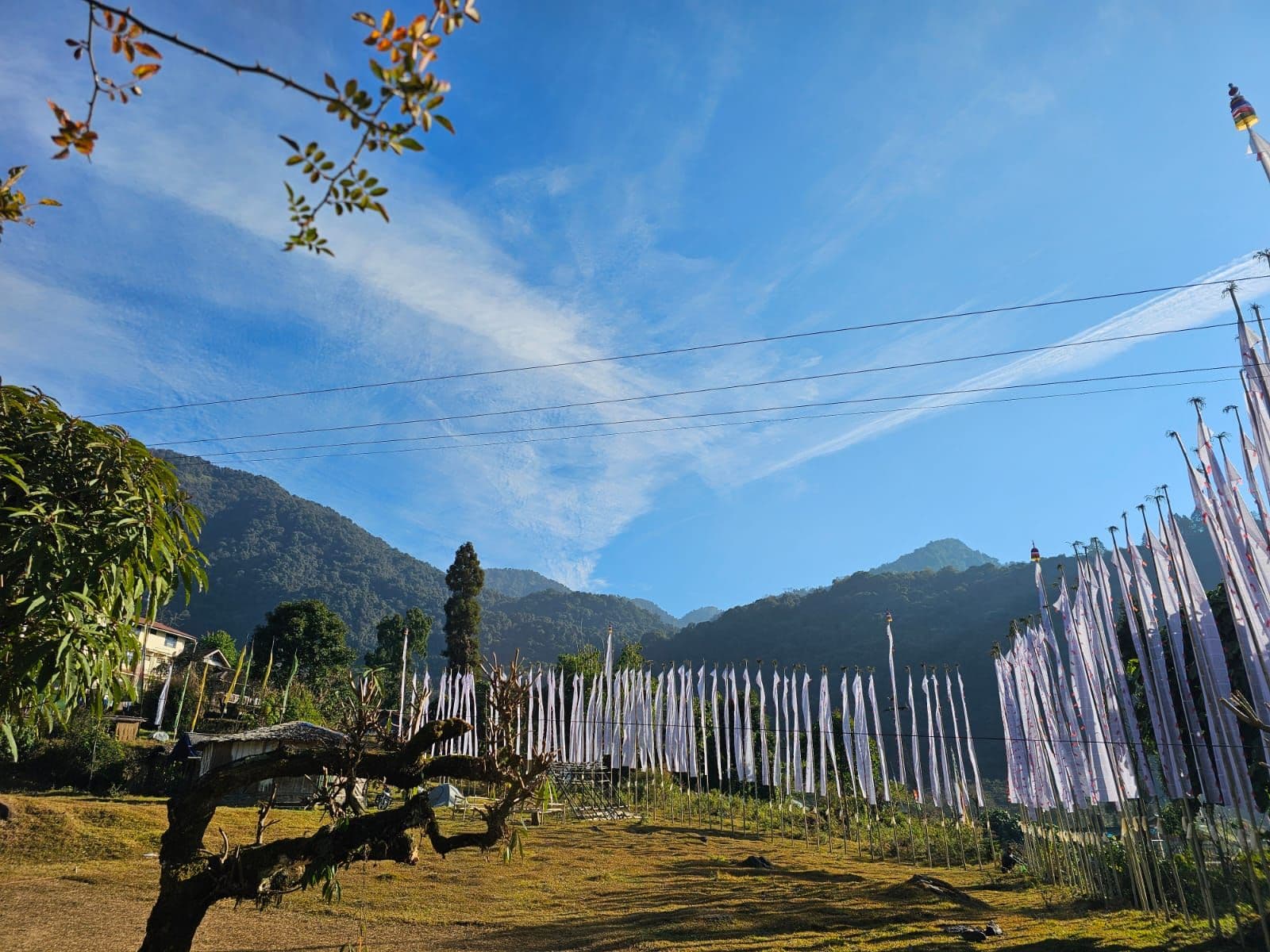 Himalayan & Stay w/ Warm Hosts & Bonfire in Sikkim, Yuksom 8