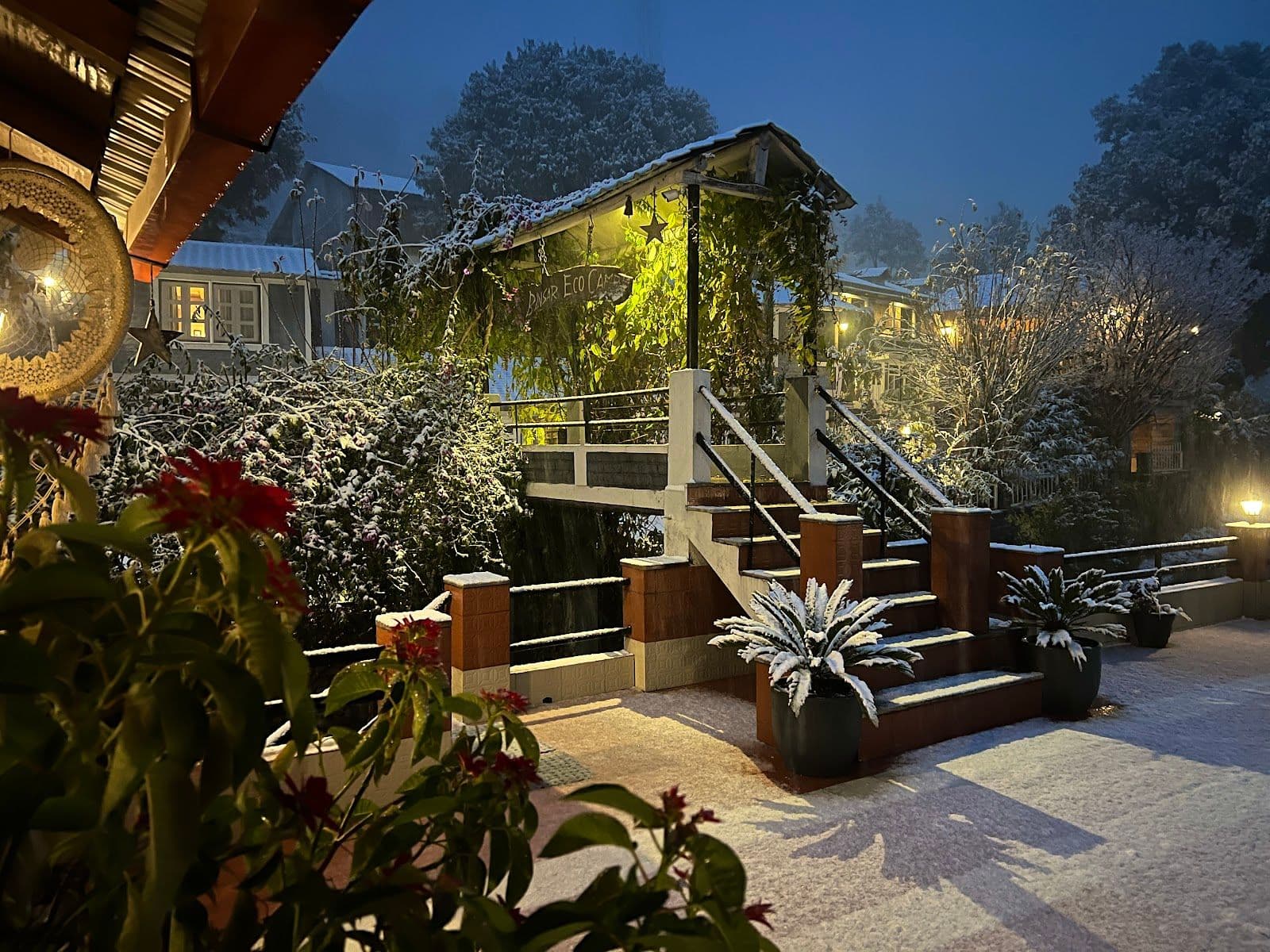 Cozy Homestay in Kausani in Kausani 2