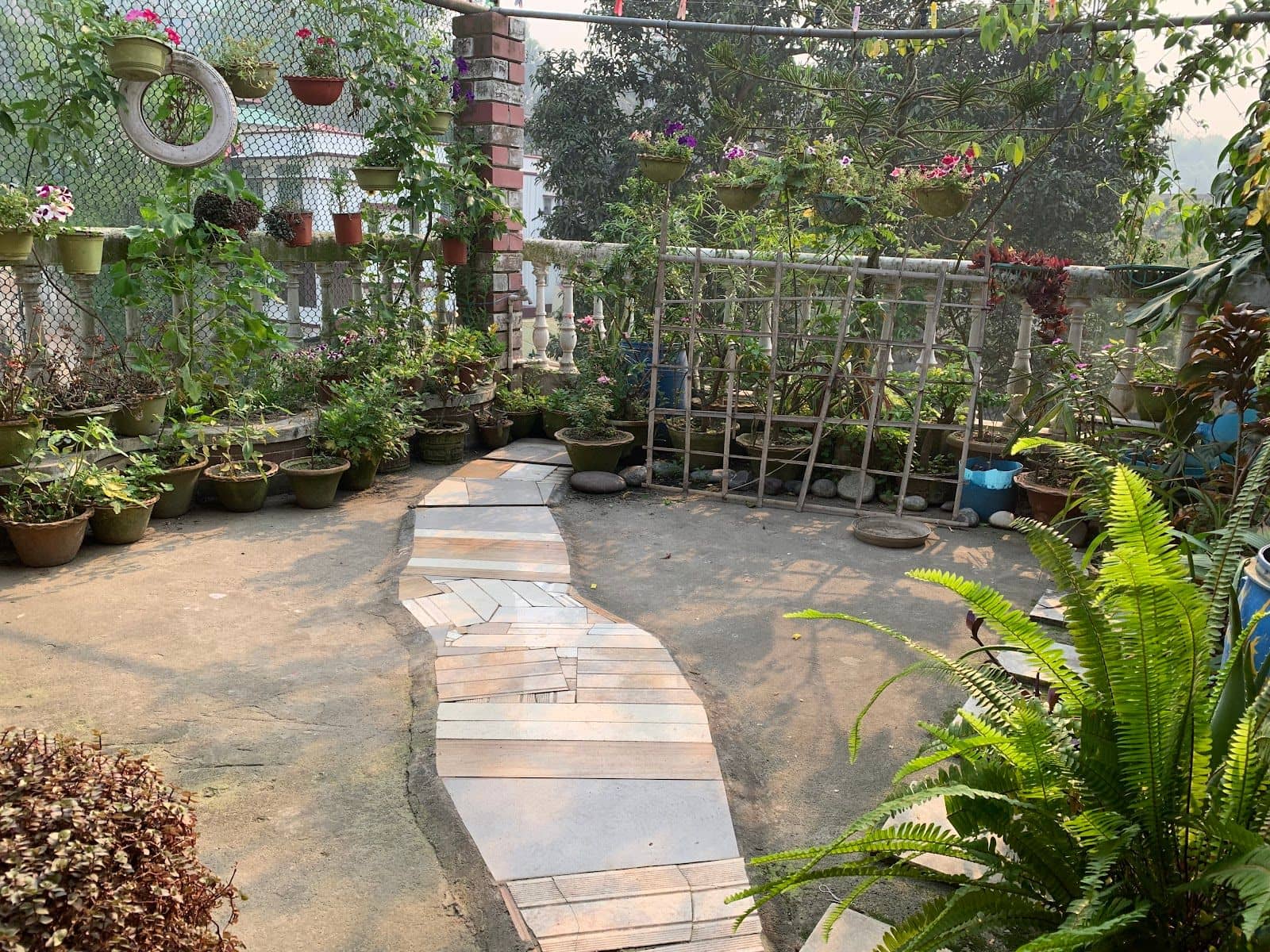 Garden Sit-Out Homestay w/ Healthy Meals, Assam - Guwahati