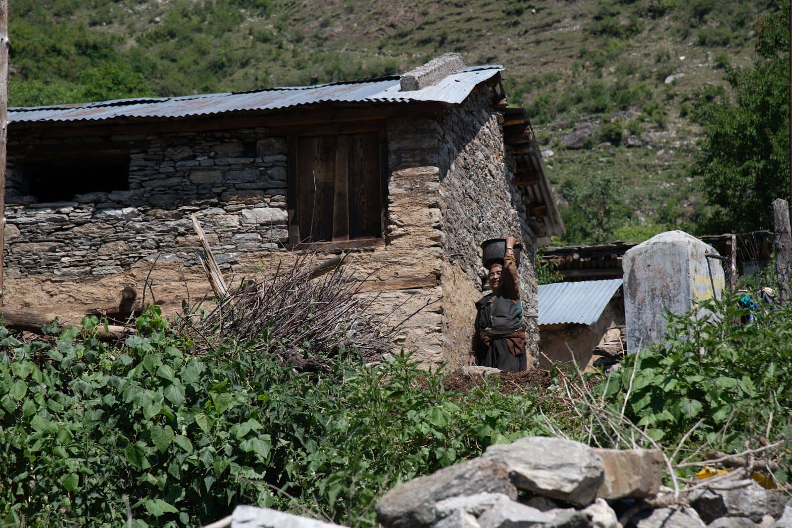 Homestay for Kuari Pass Trek, Home Meals, UT - Karchi, Uttarakhand