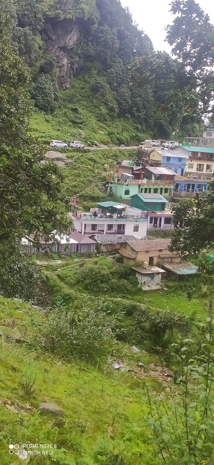Homestay w/ Hand-Cooked Garhwali Meals in Chopta, Uttarakhand 1