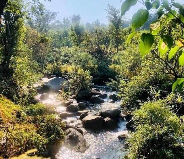 Riverside Swiss Tent w/ Green Meadows, HP - Keori, HP photo 5
