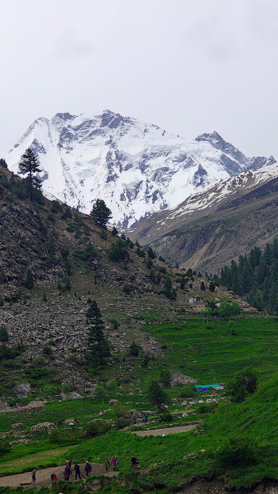 Clean Rooms Homestay w/ Owner Guitar, HP in Udaipur, HP 8