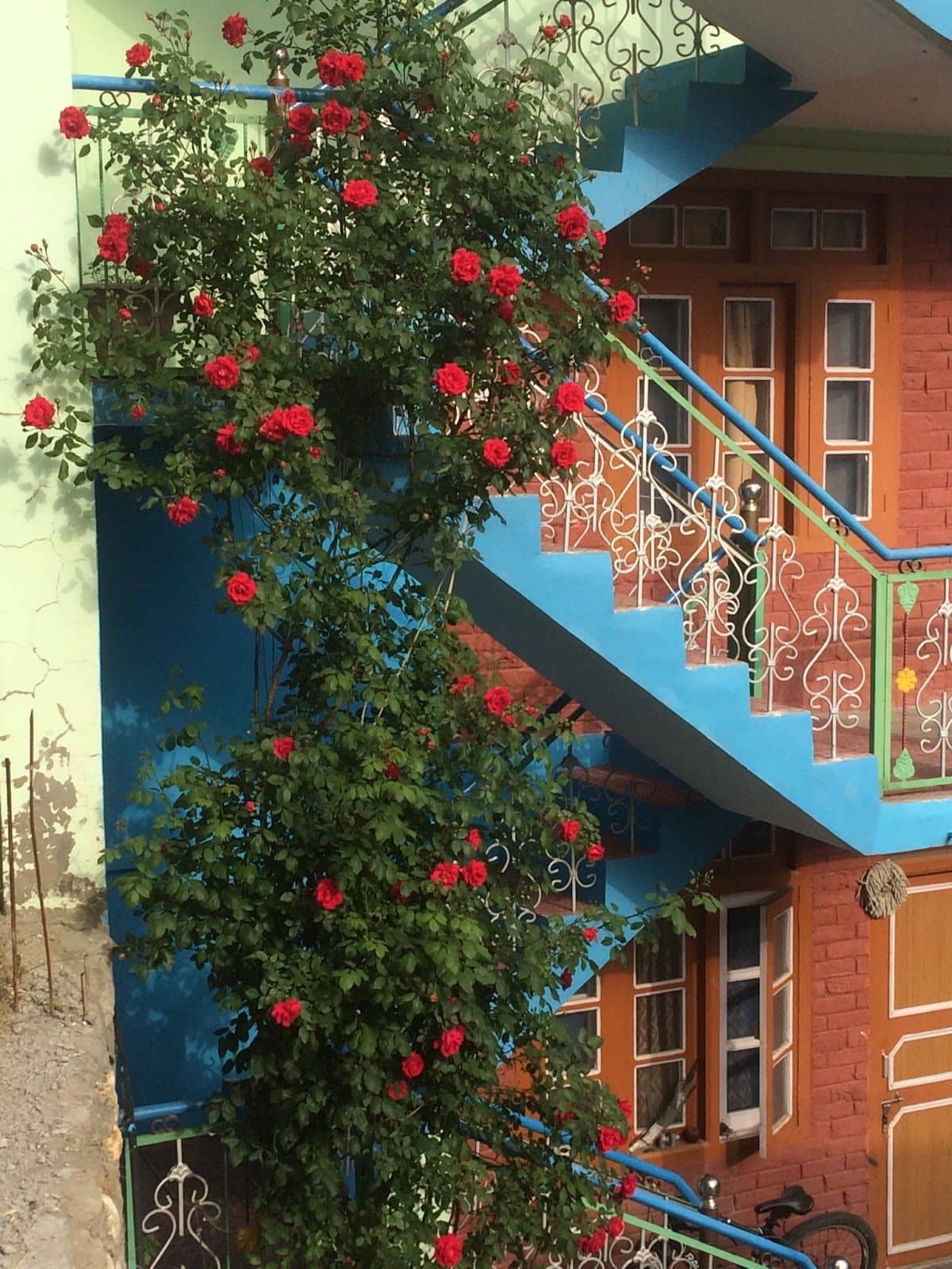 Homestay w/ Home Meals & Mountain Views, HP - Himachal Pradesh photo 5