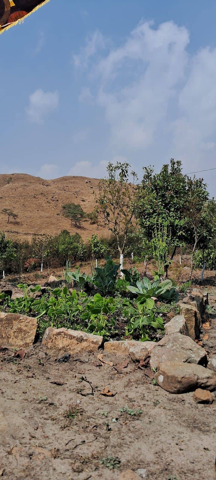 A Soulful Retreat in the Heart of Sohra - Cherrapunjee photo 4