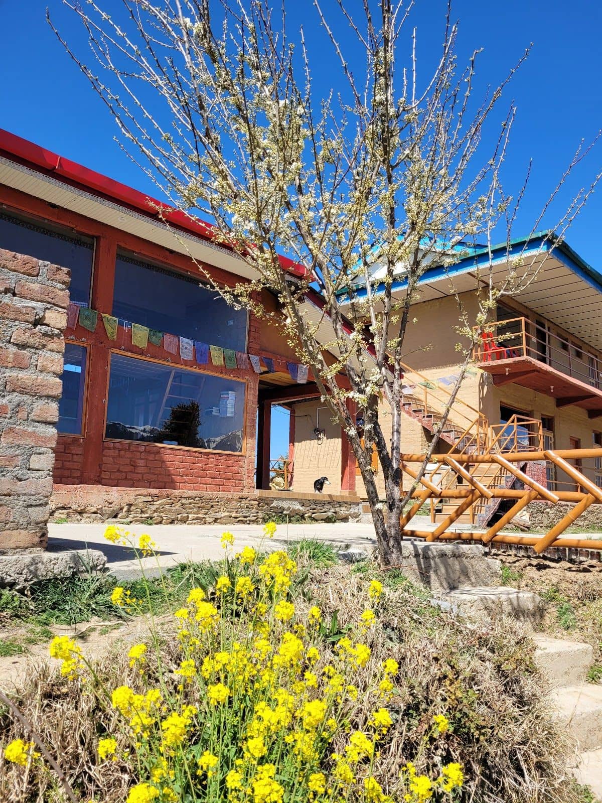 Offbeat Hill Cottage w/ Hikes & Home Meals, HP - Jhatingiri, Himachal Pradesh