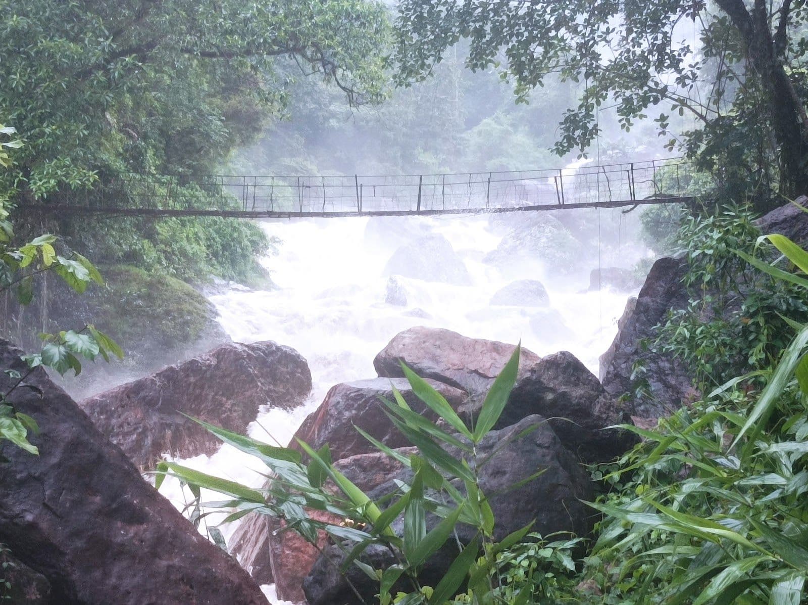 Eco-Riverside Wilderness: Offbeat Meghalaya Escape in Cherrapunjee 7