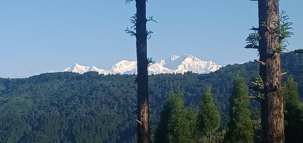 Pristine paradise for nature lovers - Sonada