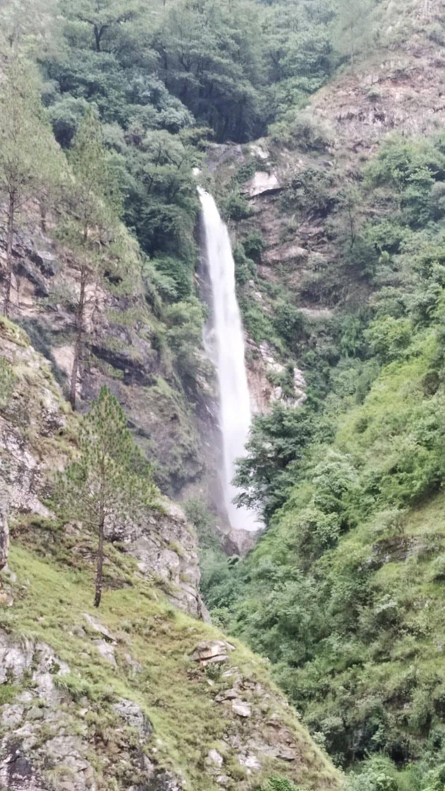 Mountain Homestay w/ All Meals, Uttarakhand - Bhatwari, Uttarakhand photo 5