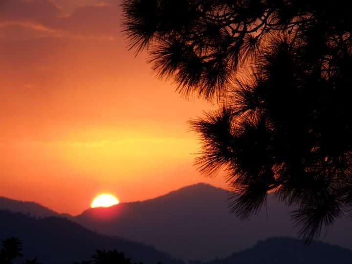 Wooden Cottage w/ Mountain Views & Food in Uttarakhand 8