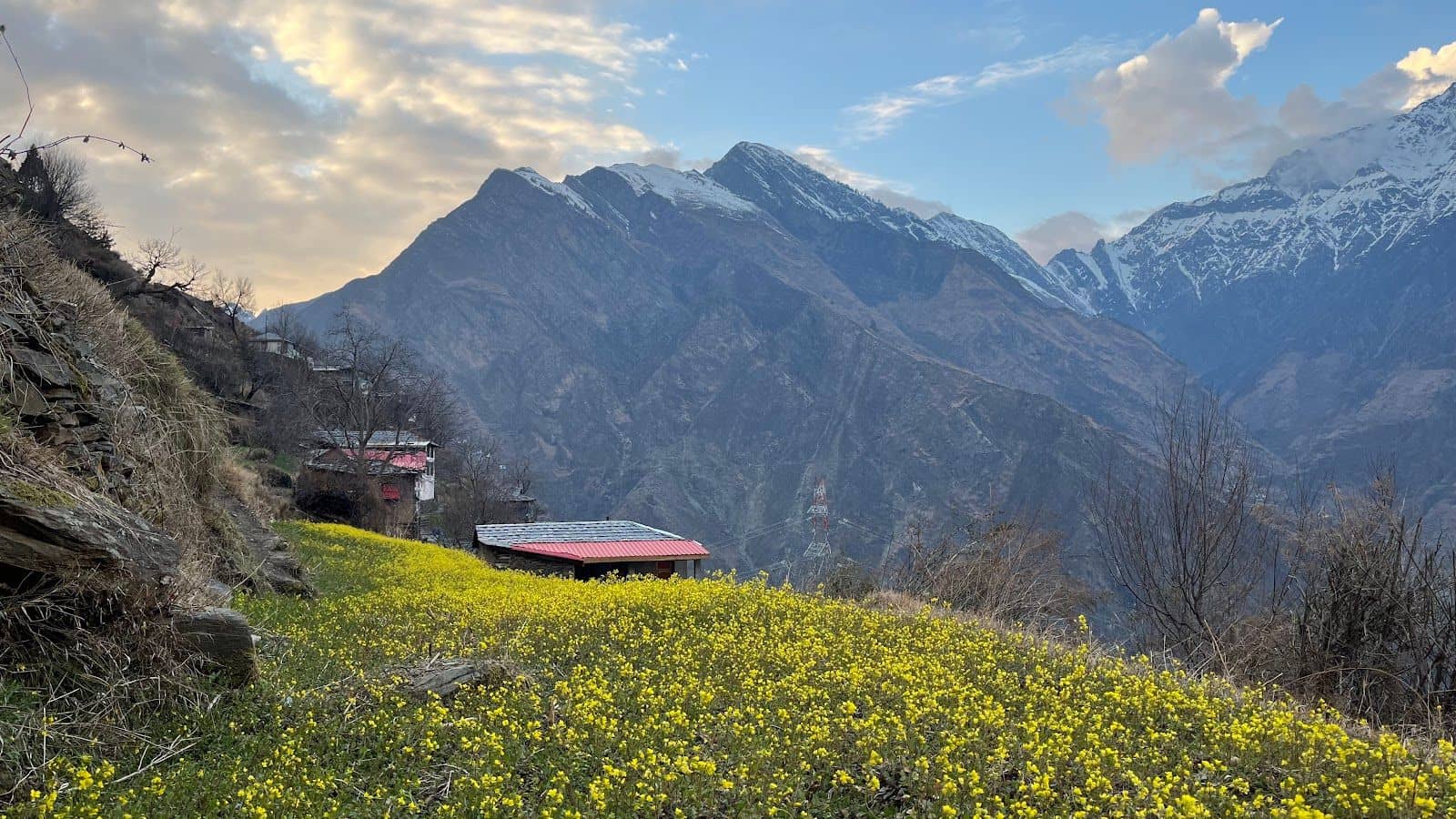 Village Homestay w/ Home Meals & Treks, HP - Hat, HP photo 5