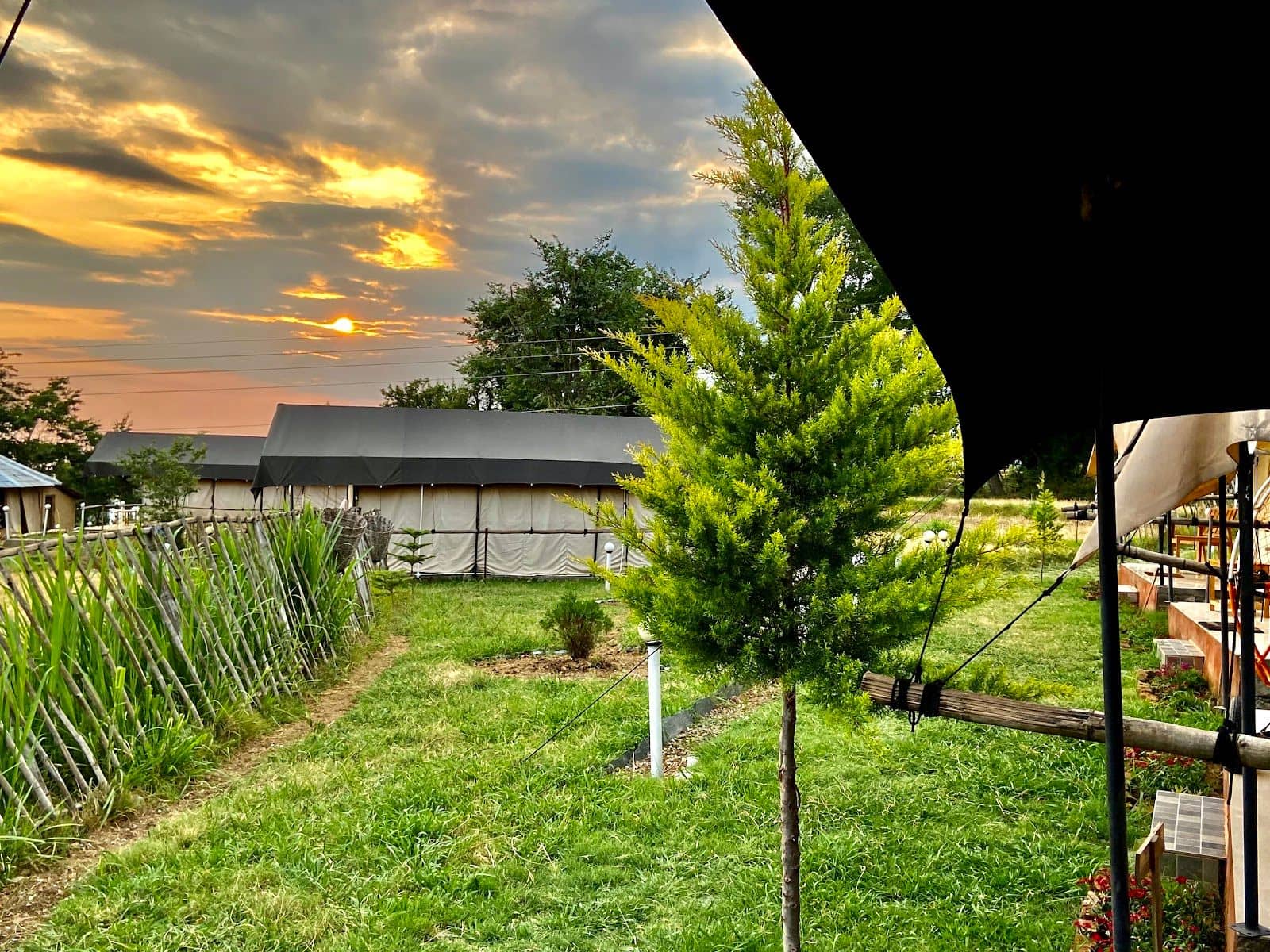 Luxury Camps w/ Paragliding Views, HP - Bir, Himachal Pradesh