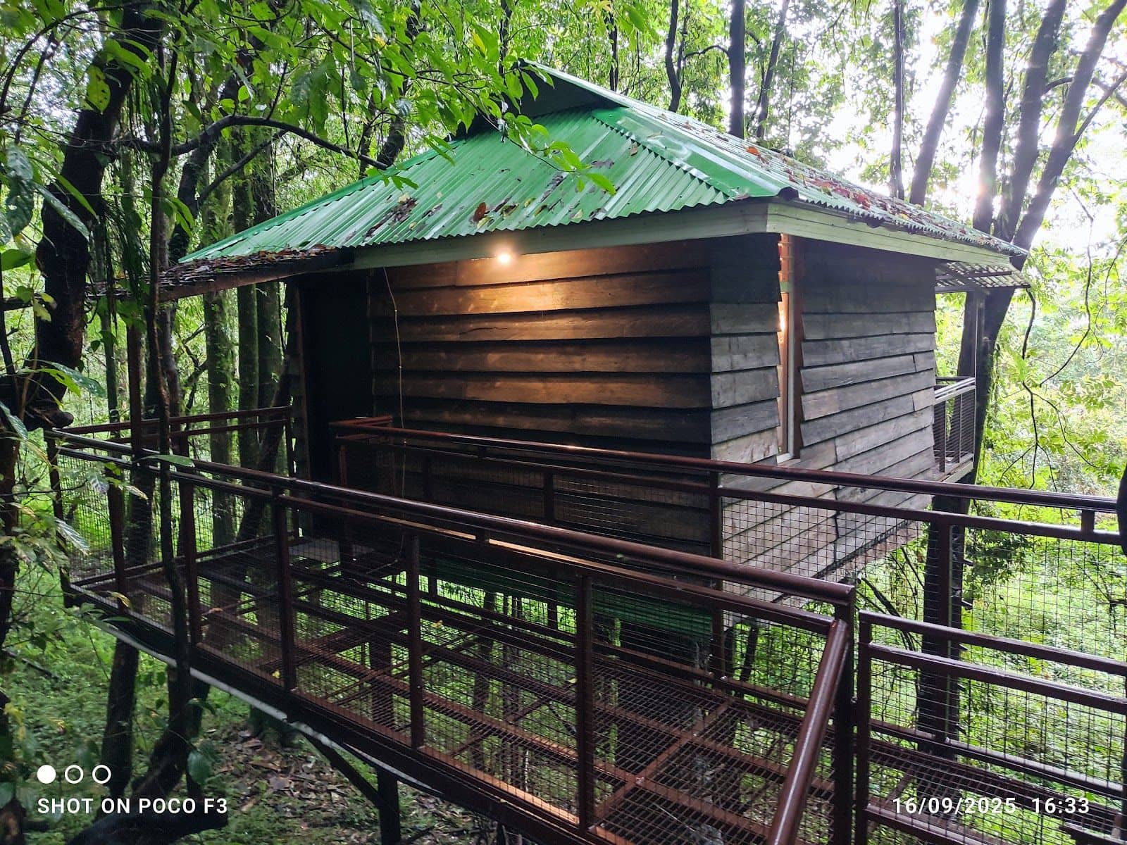 Tree House Homestay w/ Forest Rms & Pizzas, Sikkim - Sikkim, Ravangla