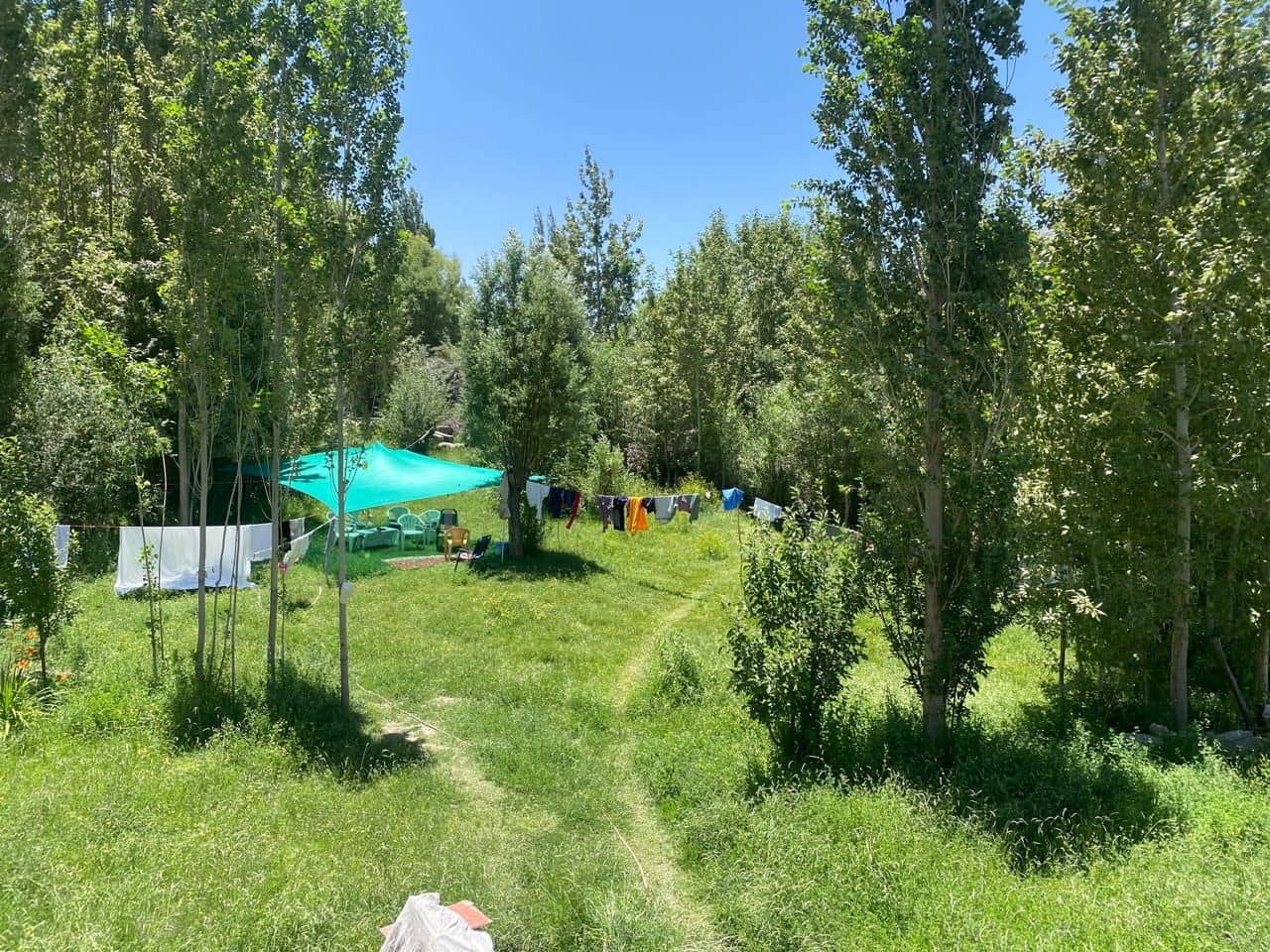 Garden Homestay w/ Home Meals & Views, Ladakh - Panamik, Ladakh photo 4