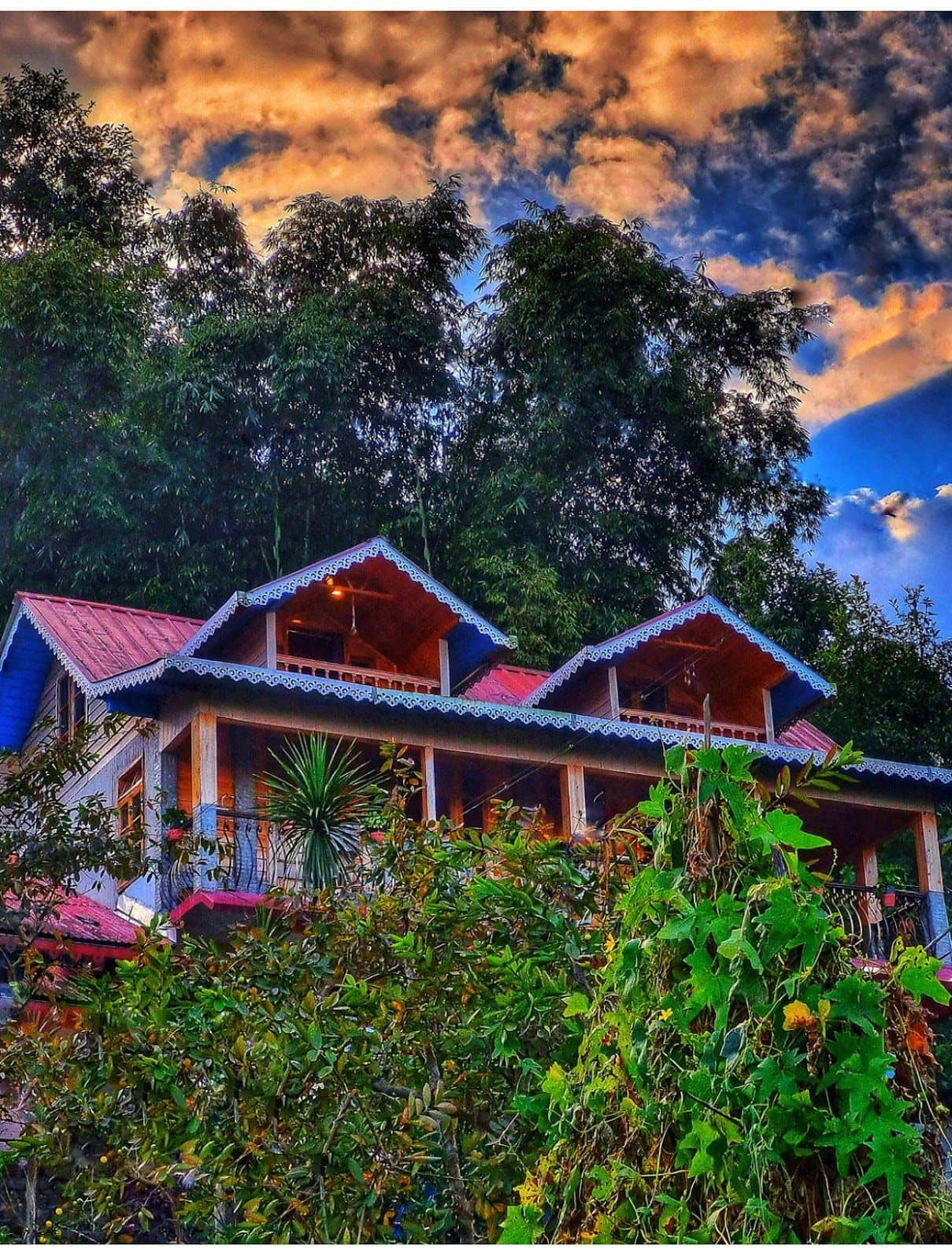 Seclusive retreat - Sonada photo 4