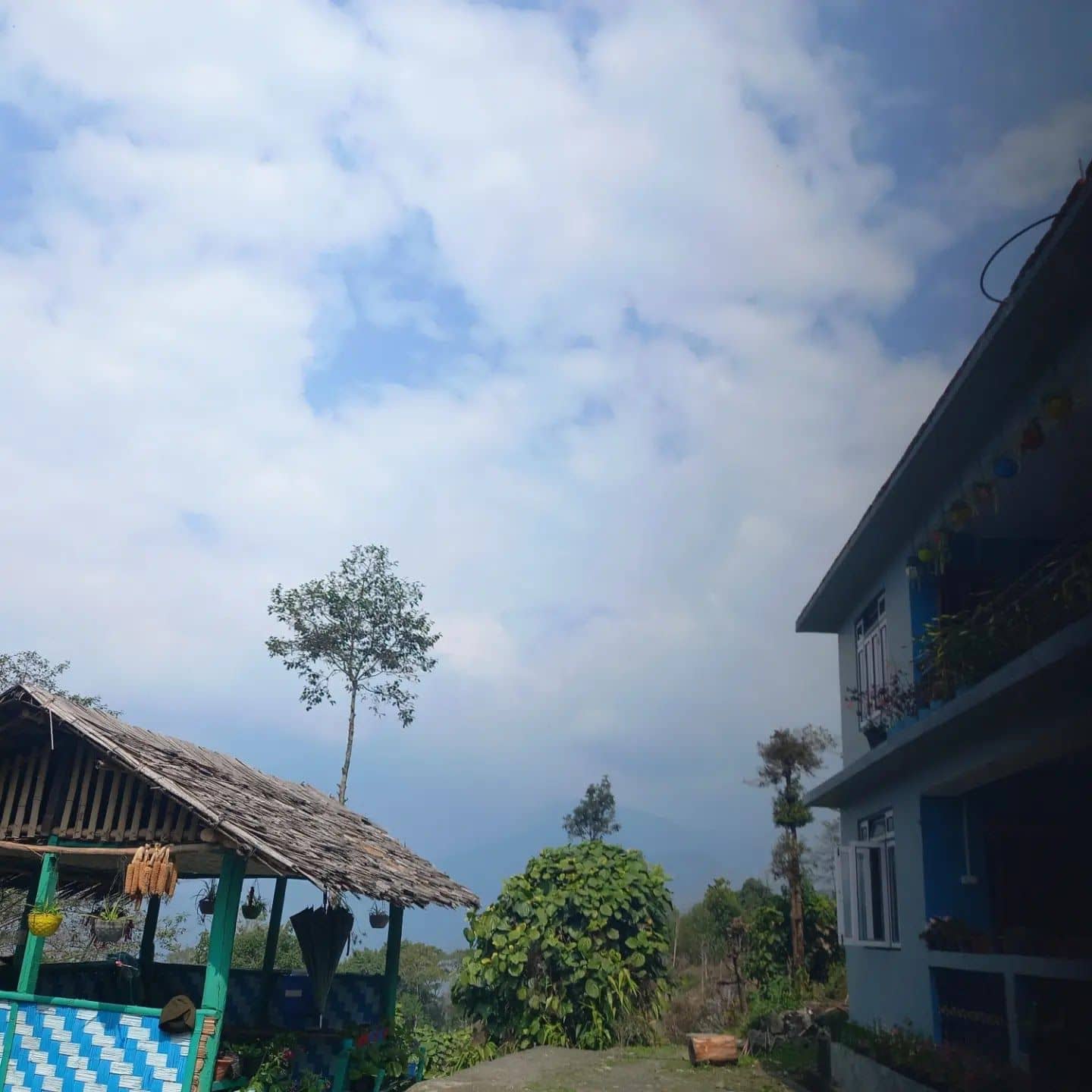 Mt. Pandim Views Homestay w/ Authentic - Sikkim, Ravangla photo 5