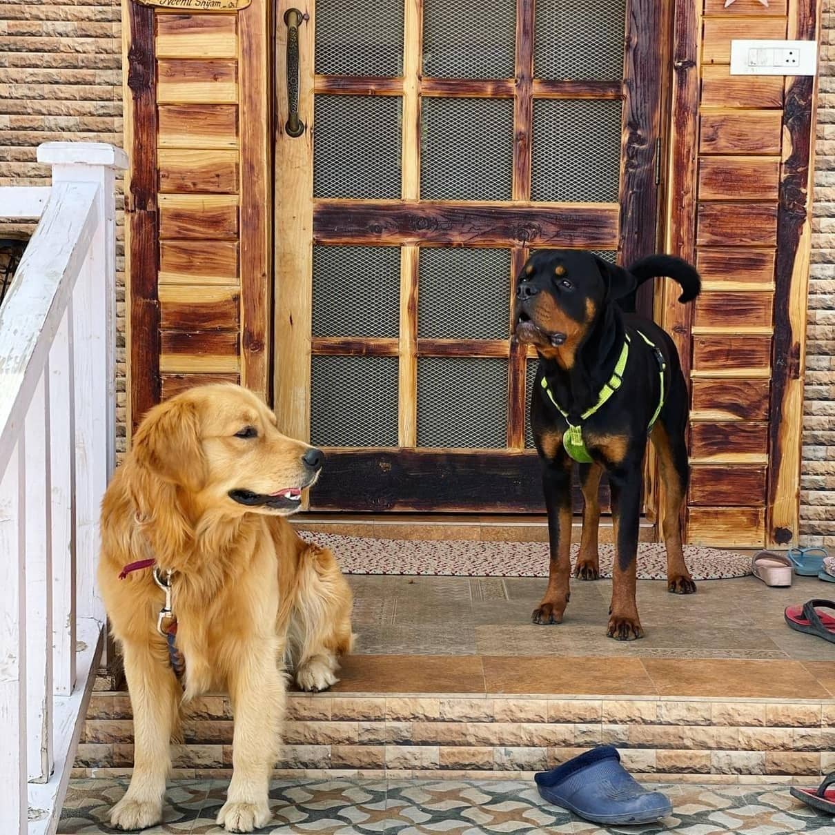 Mountain Homestay w/ Orchards & Views, HP - Narkanda, HP photo 5