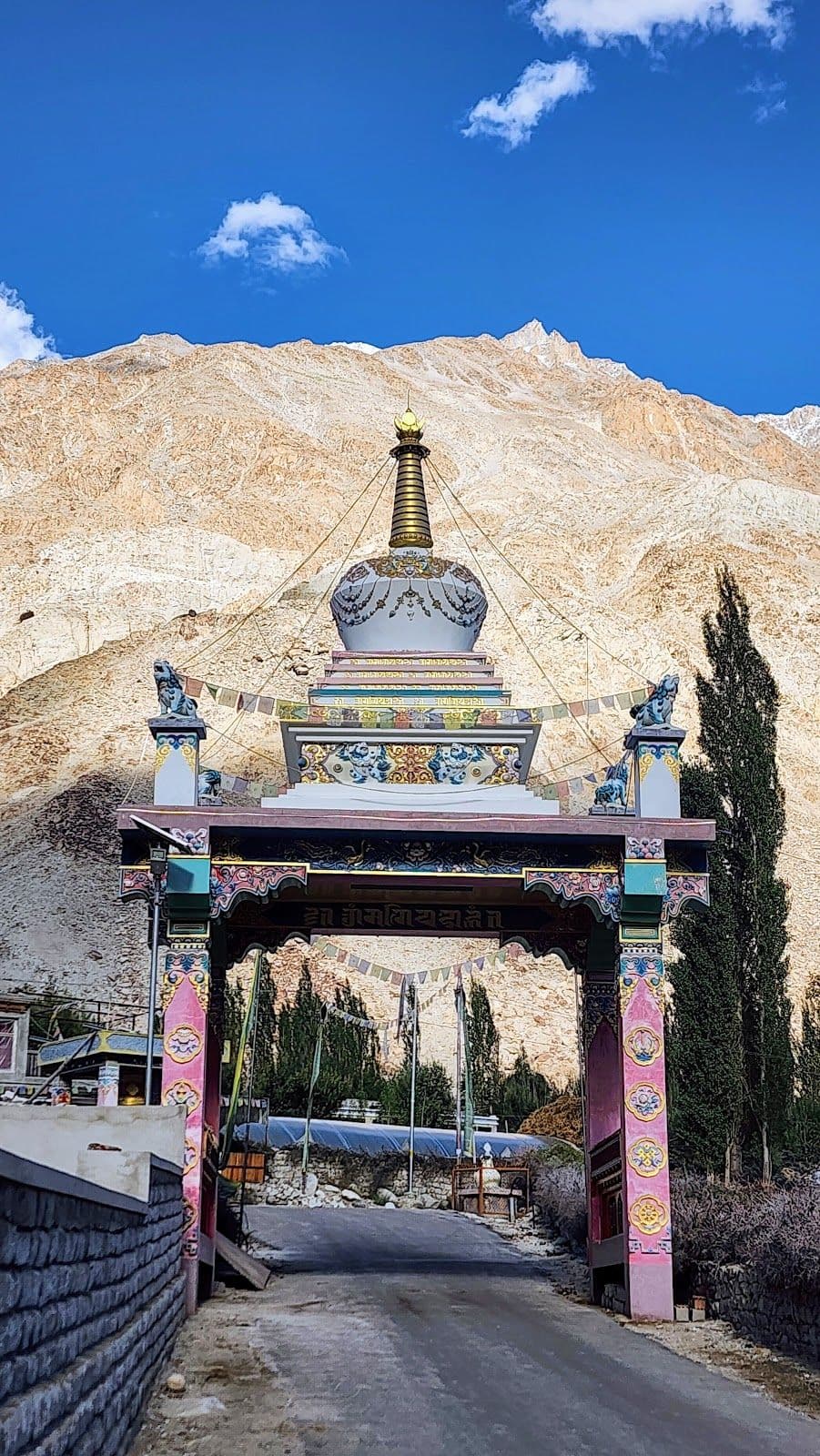 Clean Homestay w/ Home Meals & Mountain Views in Panamik, Ladakh 1