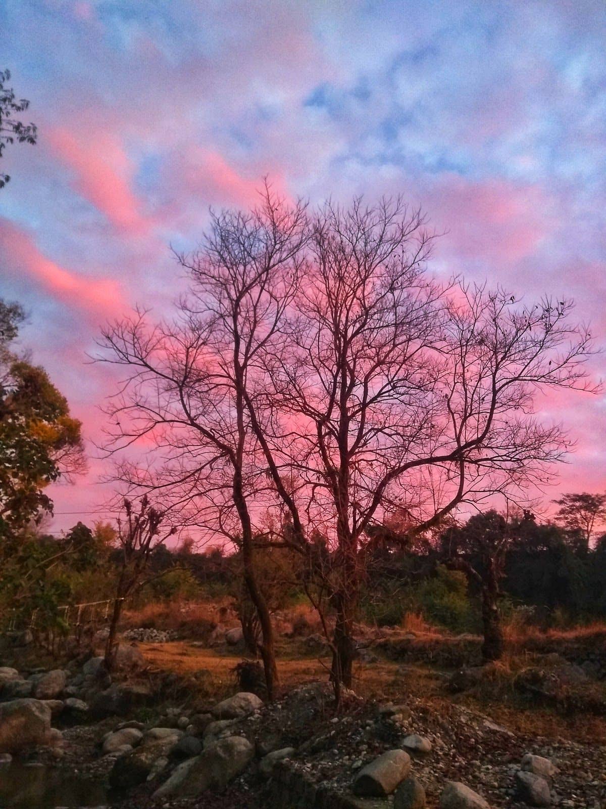 Riverside Swiss Tent w/ Green Meadows, HP - Keori, HP photo 4