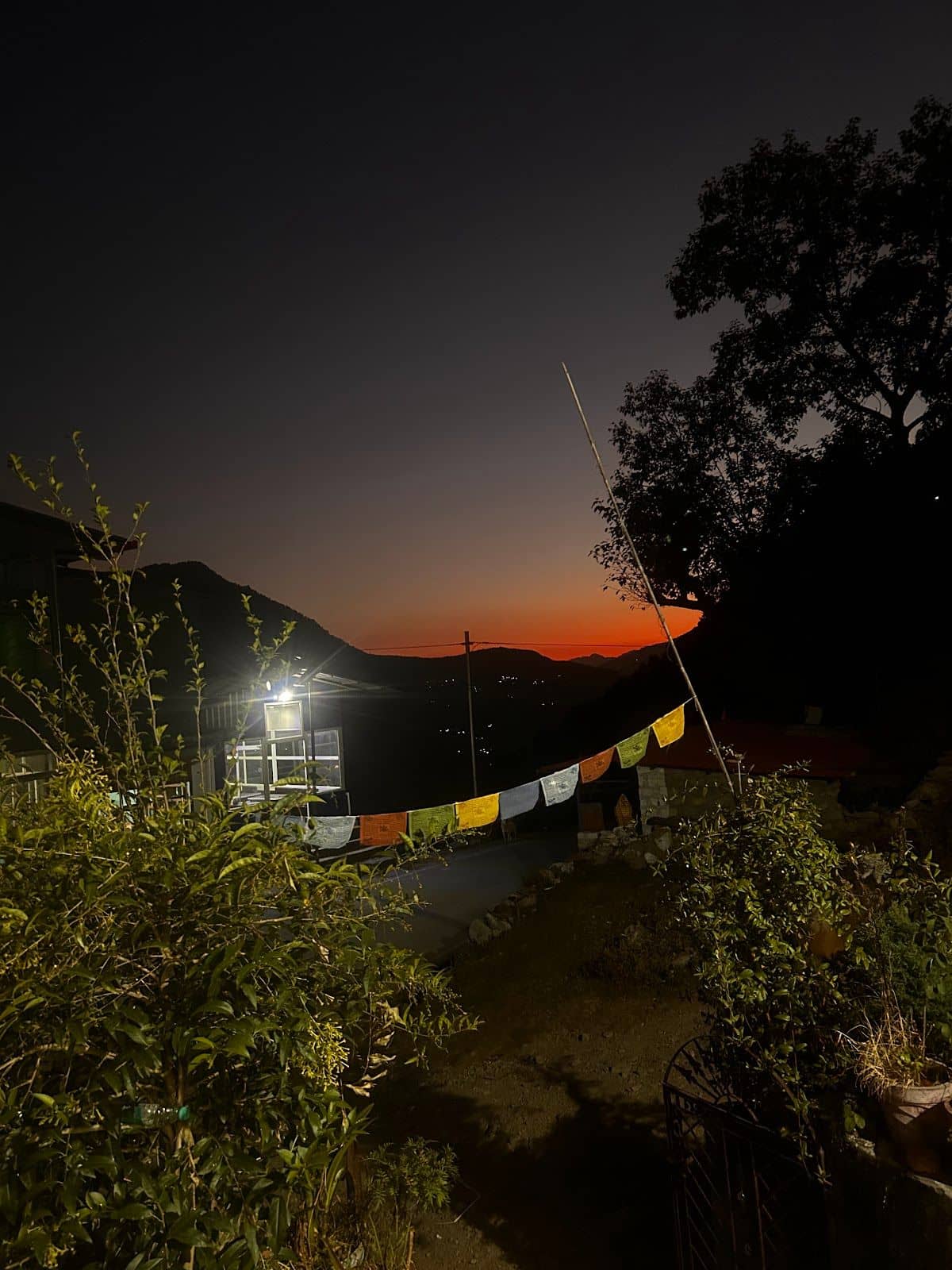 Peaceful Homestay w/ Homely Experience - Ukhimath, Uttarakhand photo 4