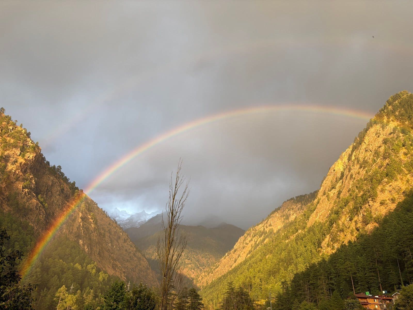 Mountain View Homestay w/ Heaters & Geyser, HP in Kasol, HP 8