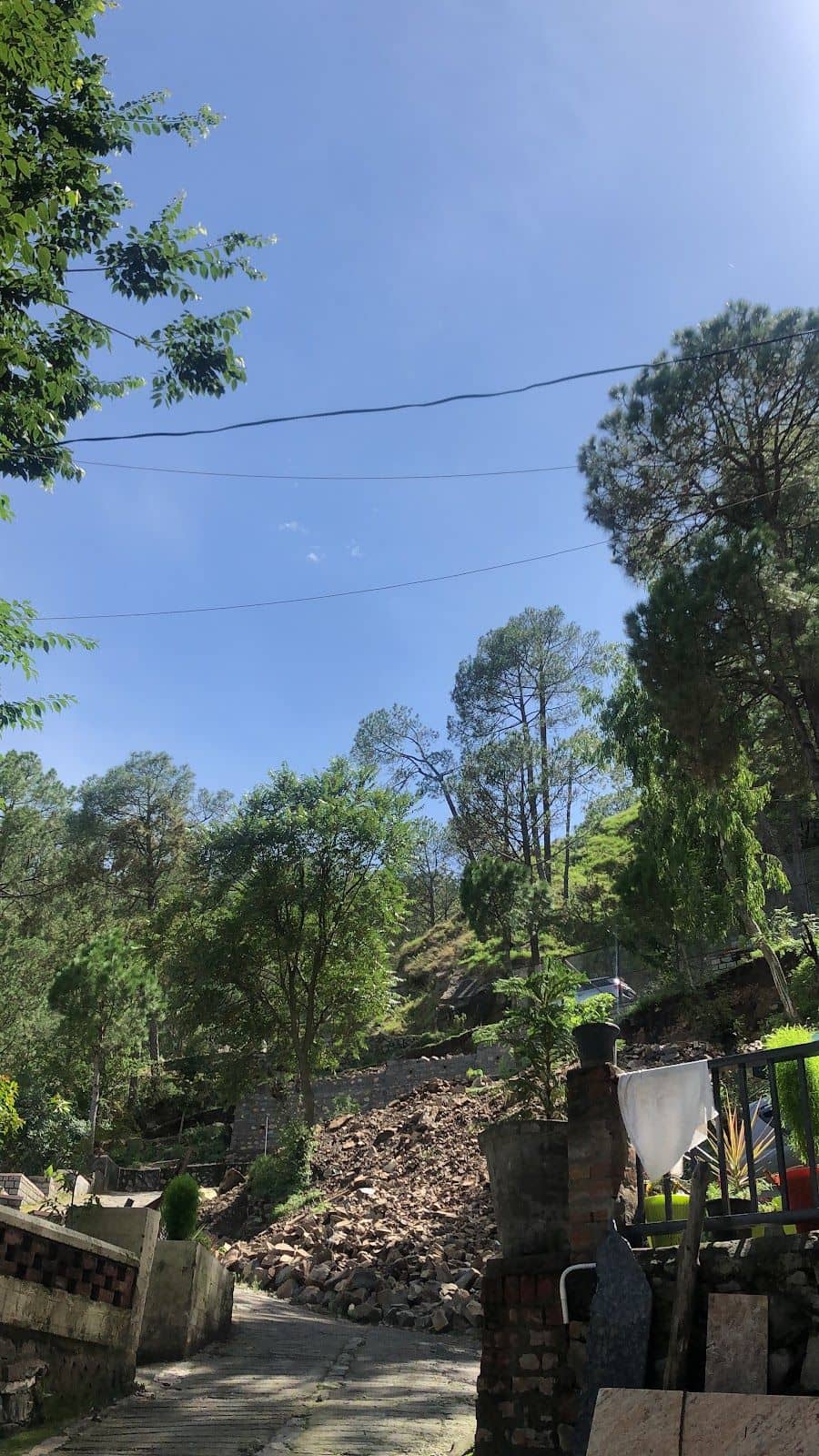 Spic & Span Homestay w/ Mountain Views, HP - Kasauli, HP photo 4