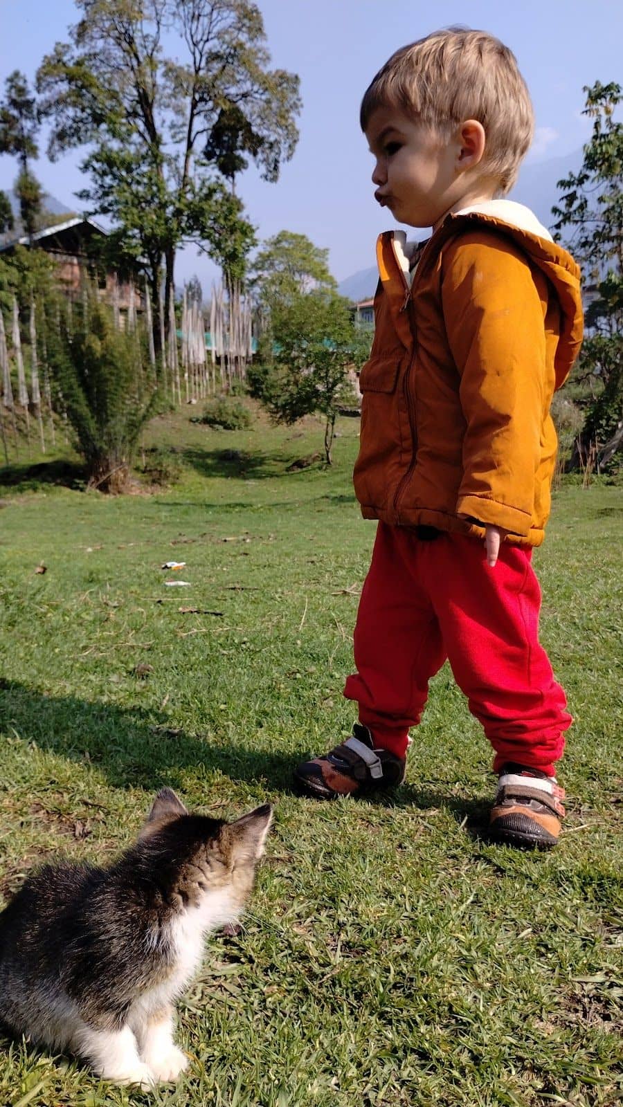 Auth Village Homestay w/ Organic Food, Sikkim - Yuksom, Sikkim photo 5