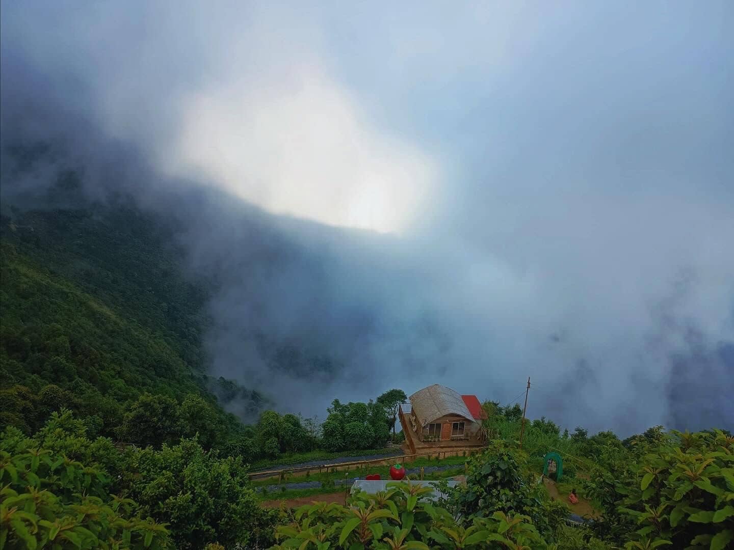 Kurseong Cozy Homestay with Majestic Views - Kurseong photo 5