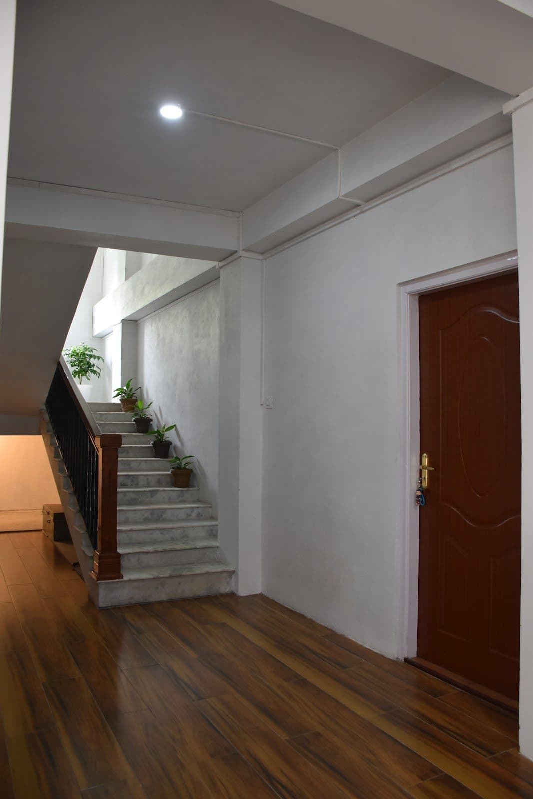 Shillong Forest Retreat: Pine Trees, Nature Walks in Shillong 8