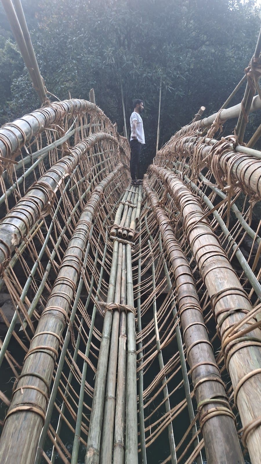 Greenery Cottage w/ Culture Insights, Megh. in India 1