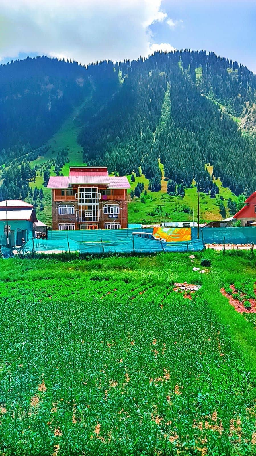 Valley View Homestay w/ Home Meals, Kashmir - Gurez Valley, Kashmir