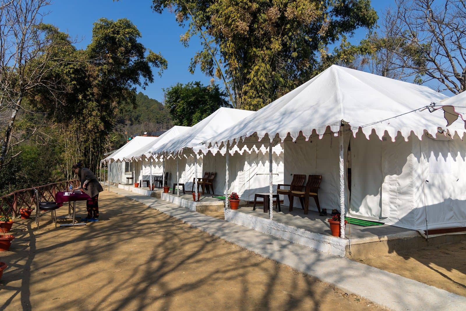 Forest Camp w/ Home Meals & Bonfires, HP - Bir, HP photo 5