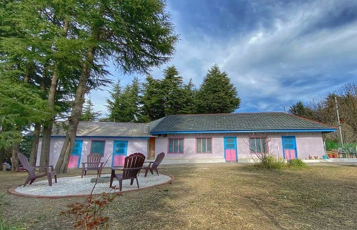 Hilltop Homestay w/ Home Meals & Treks, HP - Naldehra, HP photo 3