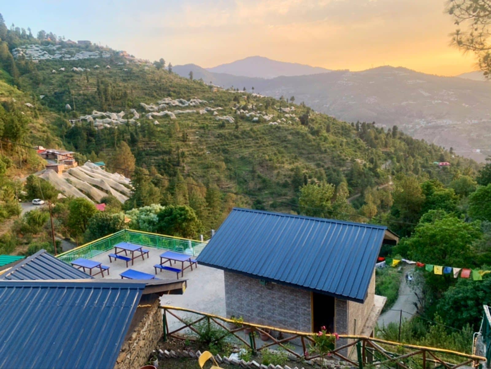 Apple Orchard w/ Home Meals, HP - Himachal Pradesh
