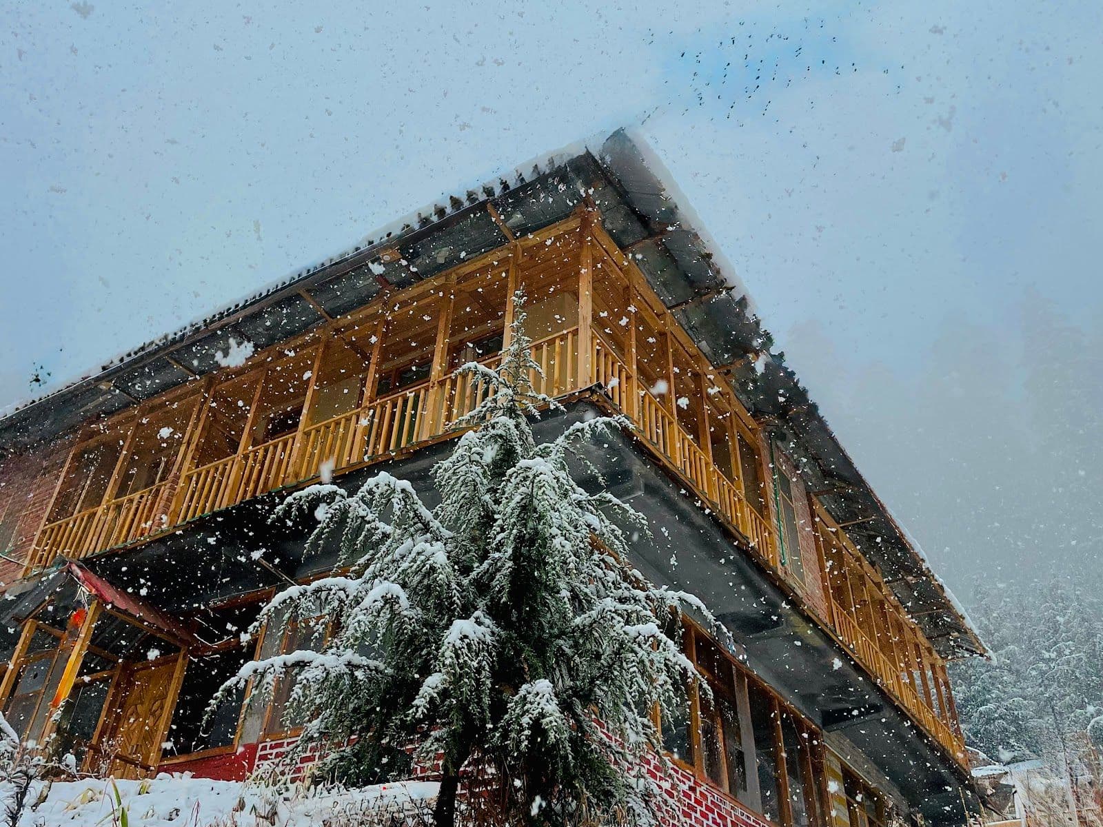 Hilltop Homestay w/ Bonfire & Live Music, HP in Sainj, HP 1