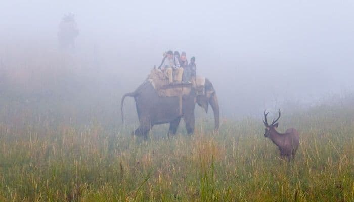 Peaceful Bungalow w/ Elephant Rides, Assam in Barpeta 8