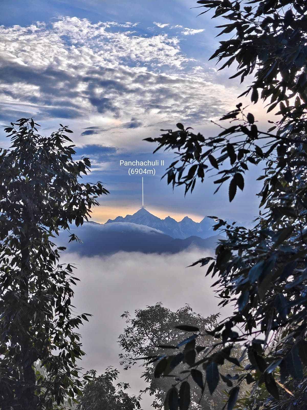 Cottage w/ Snow Peak Views & Home Meals in Chaukori, Uttarakhand 8