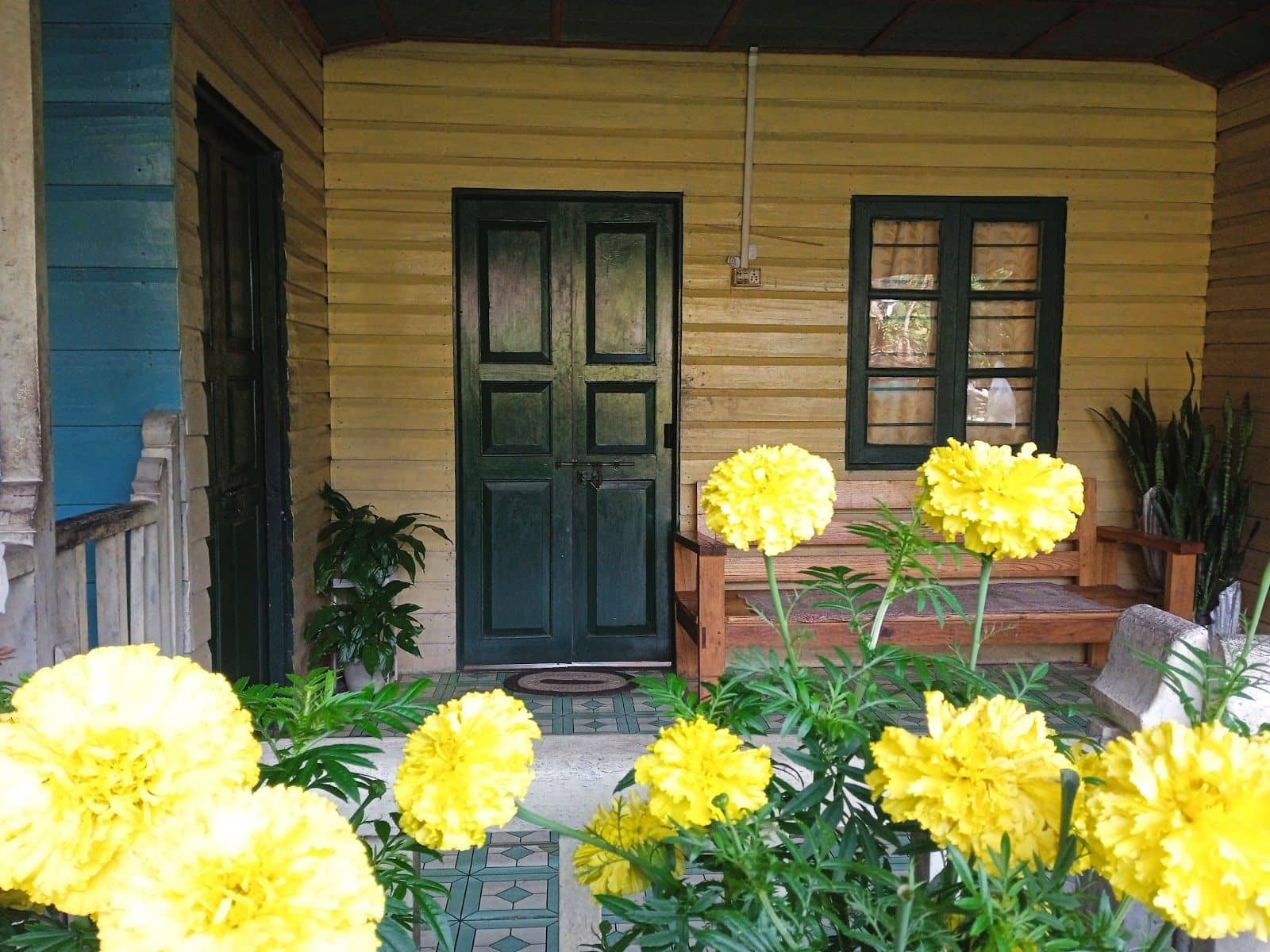Women-Run Naga Cultural Homestay w/Veg Meals - Dzukou Valley photo 5