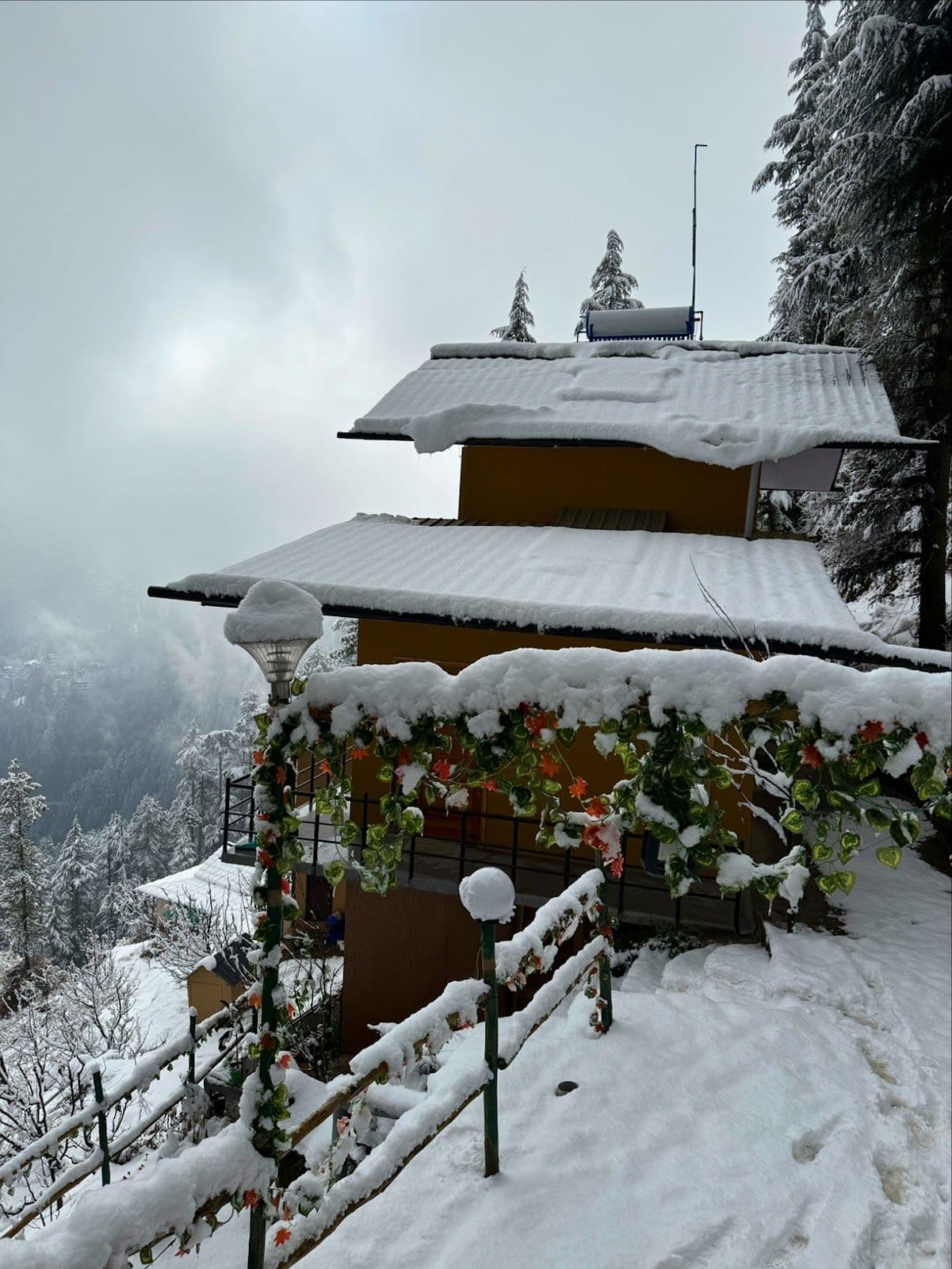 3BR Homestay w/ Mountain Views & Pet Dog, HP in Jibhi, HP 8