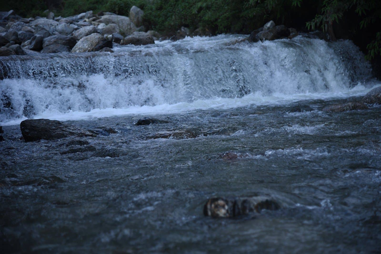 Cozy Homestay in Parashar - Parashar photo 5