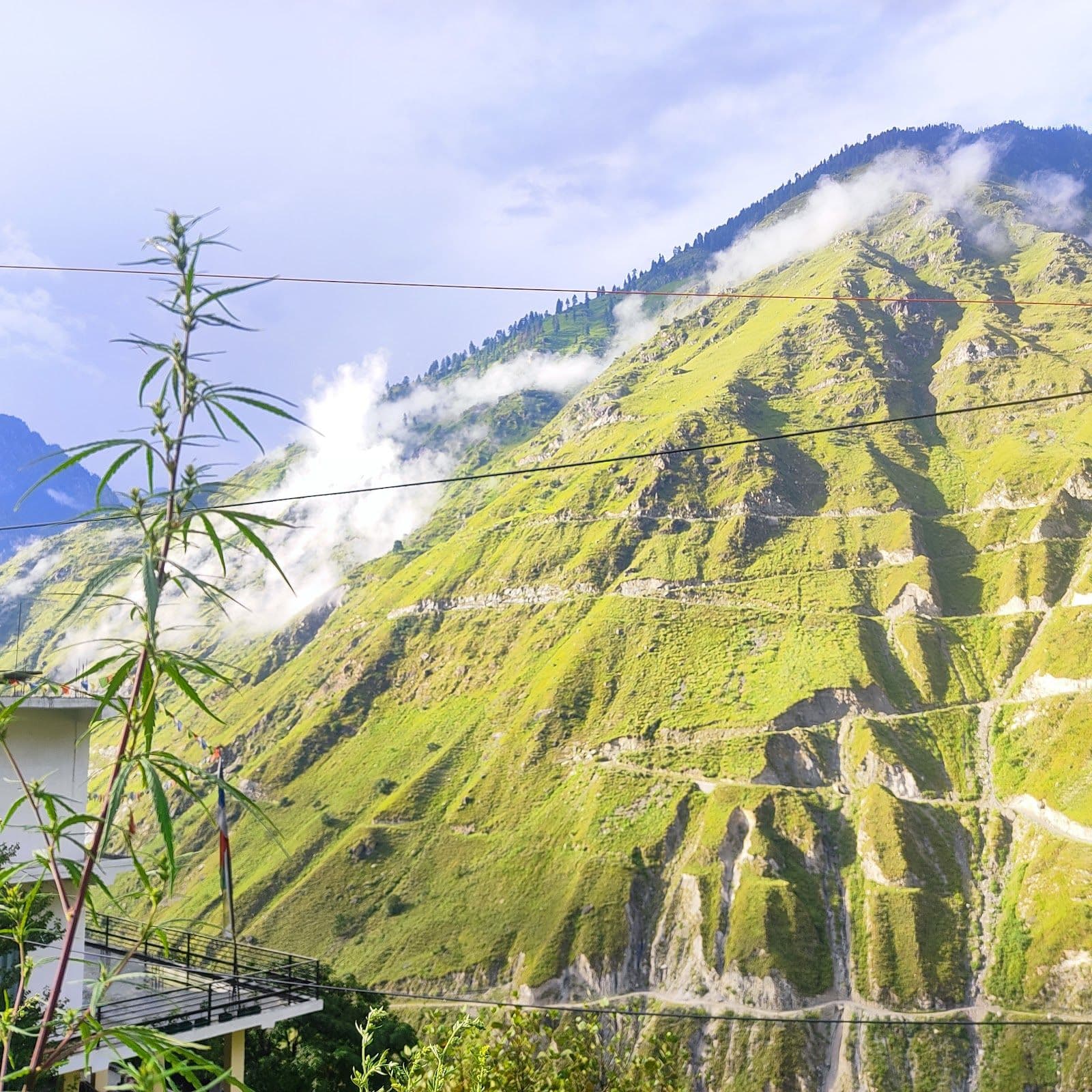 Peak View Homestay w/ Parking, HP in Saki Charang, HP 5