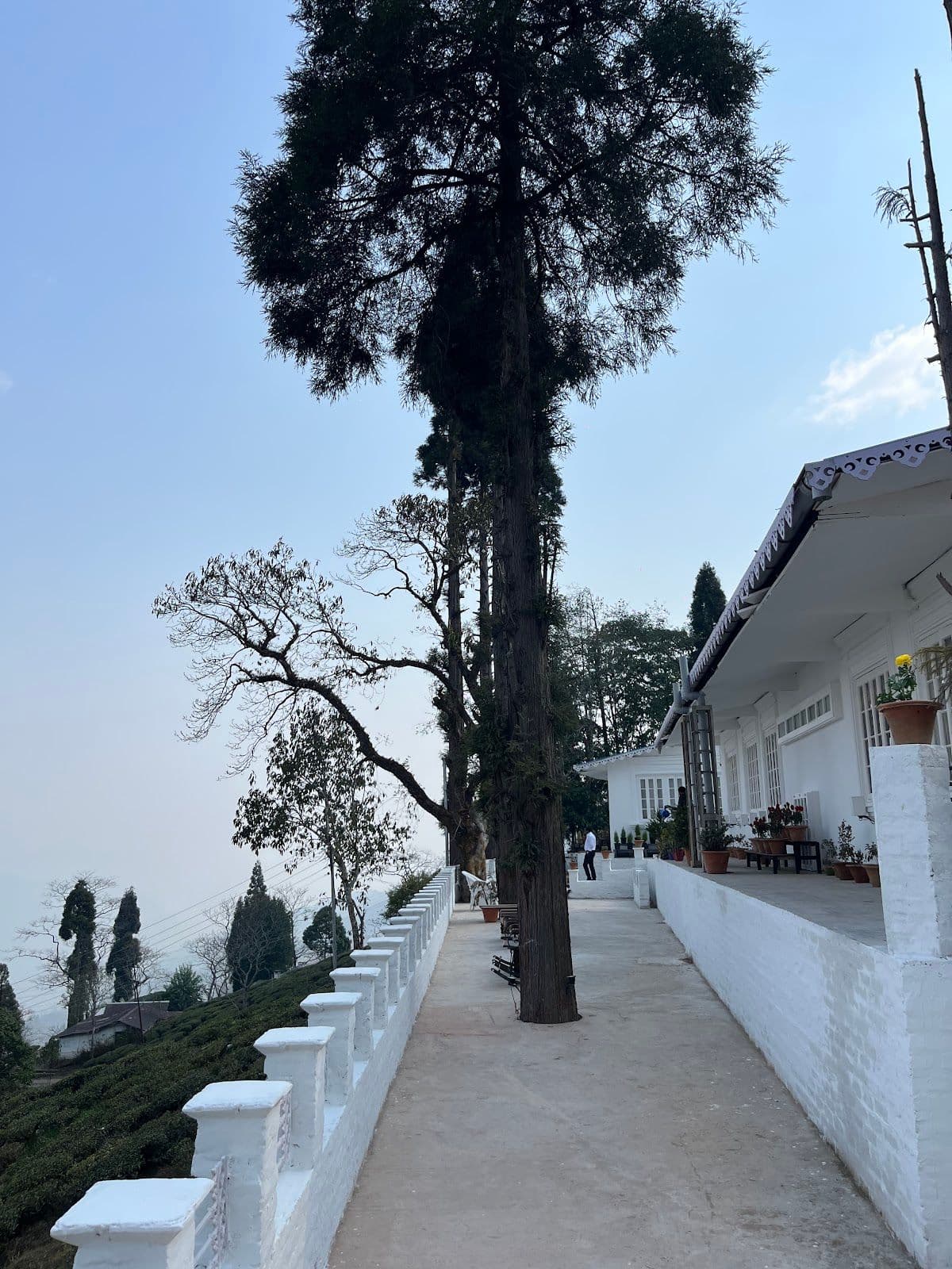 5 star 4BR Tea Estate Villa w/ delightful meals in Mim Tea Garden, Bengal 8