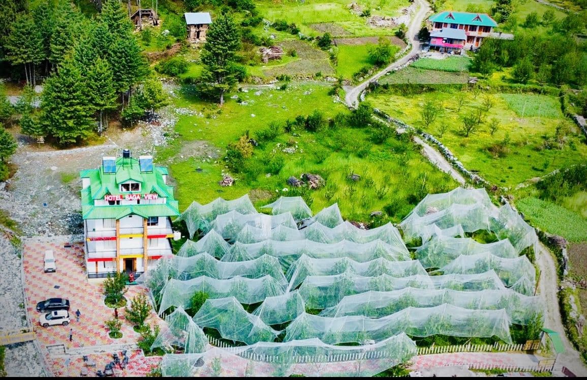 Mountain Homestay w/ Cedar Trees & Views, HP in Sarahan, HP 1