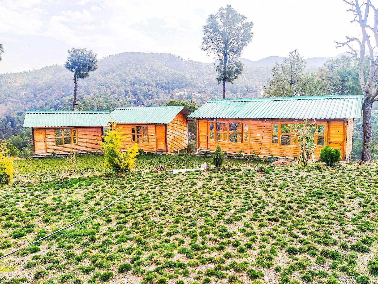 Hilltop w/ Excellent Views, HP in Himachal Pradesh 8