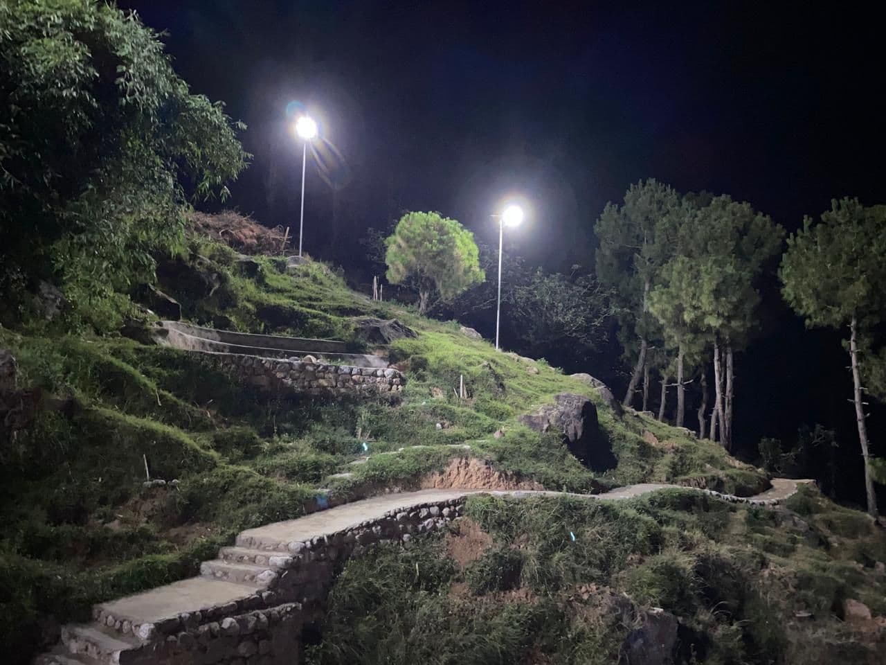 Mountain Homestay w/ Pahari Mutton & Views, HP in Palampur, HP 8