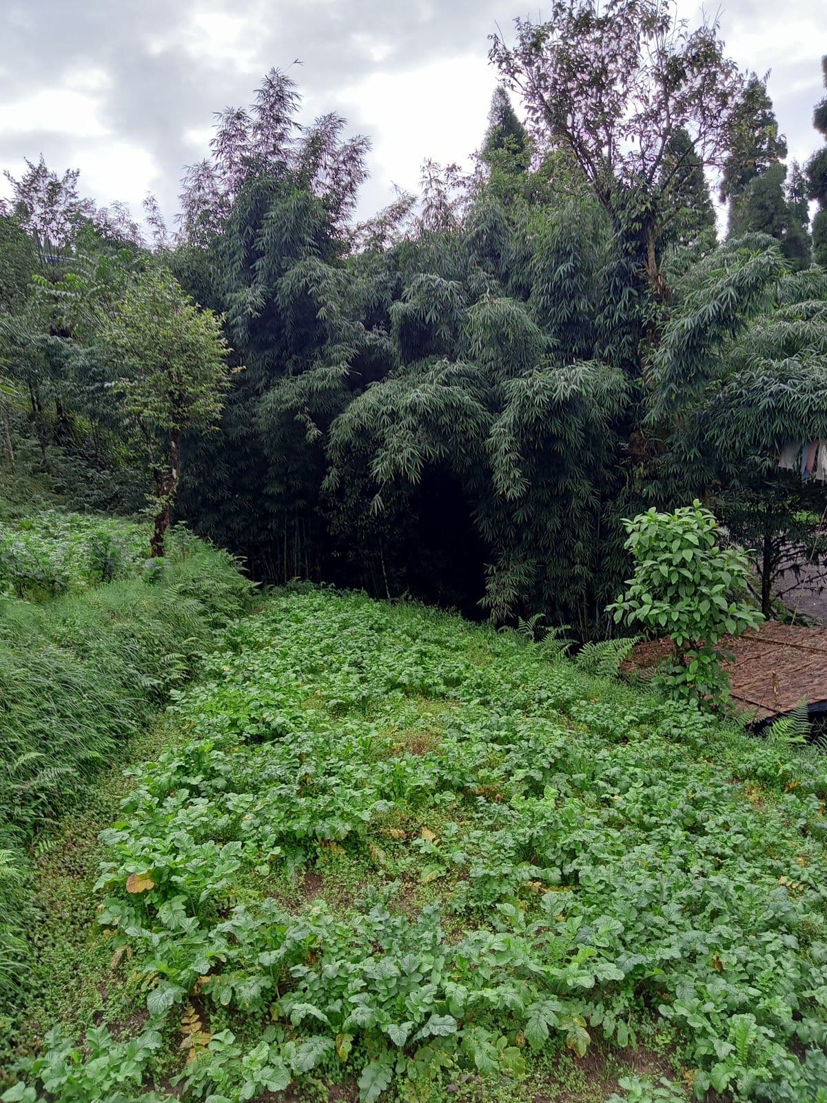 Cherish panoramic vistas of the landscape. in Sonada 8